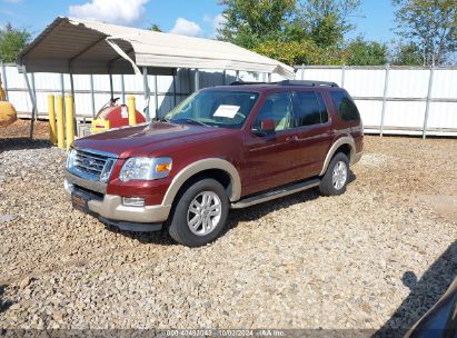 Lot #3035077130 2010 FORD EXPLORER EDDIE BAUER