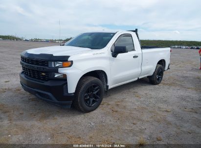 Lot #2992826139 2020 CHEVROLET SILVERADO 1500 2WD  LONG BED WT