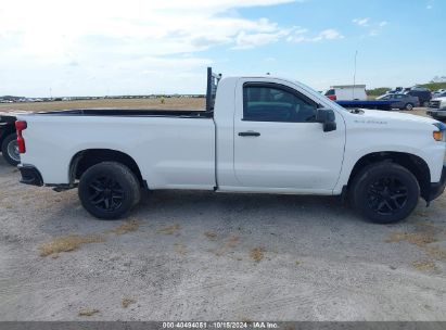 Lot #2992826139 2020 CHEVROLET SILVERADO 1500 2WD  LONG BED WT