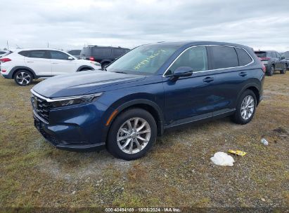 Lot #2992826126 2024 HONDA CR-V EX-L AWD