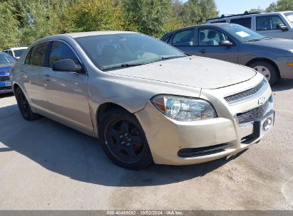 Lot #3034053657 2010 CHEVROLET MALIBU LS