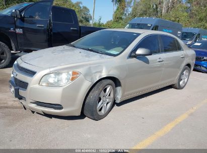 Lot #3034053657 2010 CHEVROLET MALIBU LS