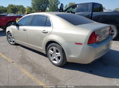 Lot #3034053657 2010 CHEVROLET MALIBU LS