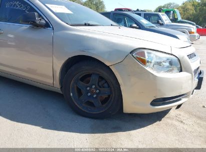 Lot #3034053657 2010 CHEVROLET MALIBU LS