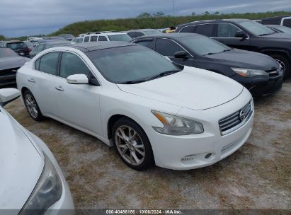 Lot #2992826043 2012 NISSAN MAXIMA 3.5 SV