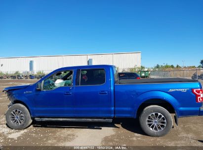 Lot #3052077174 2018 FORD F-150 XLT