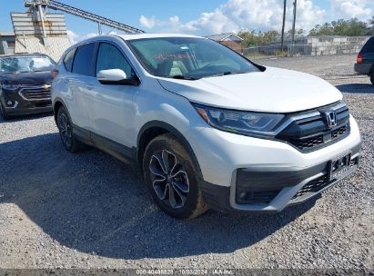 Lot #2992818027 2020 HONDA CR-V AWD EX