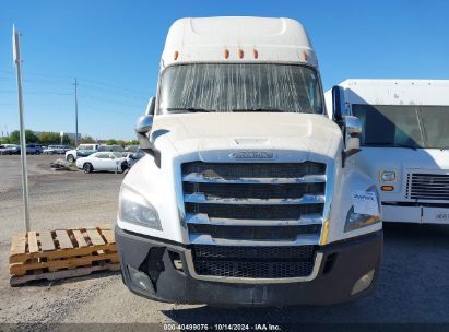 Lot #3046377661 2019 FREIGHTLINER NEW CASCADIA 126