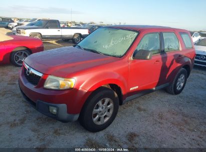 Lot #3050080512 2008 MAZDA TRIBUTE I SPORT