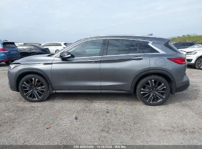 Lot #2992826460 2022 INFINITI QX50 LUXE