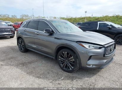 Lot #2992826460 2022 INFINITI QX50 LUXE