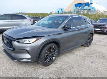 Lot #2992826460 2022 INFINITI QX50 LUXE