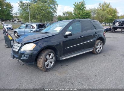 Lot #2992826327 2009 MERCEDES-BENZ ML 350 4MATIC