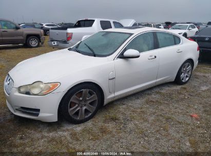 Lot #2992826299 2010 JAGUAR XF