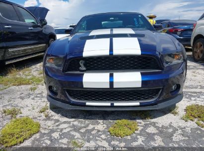 Lot #2995300327 2010 FORD SHELBY GT500