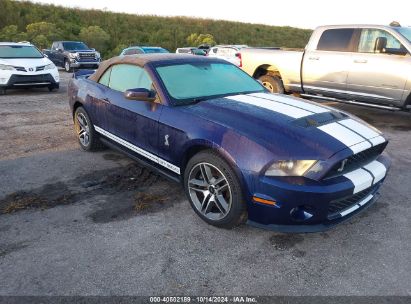 Lot #2995300327 2010 FORD SHELBY GT500