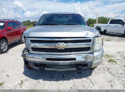 Lot #2992826250 2010 CHEVROLET SILVERADO 1500 LT