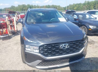 Lot #3035077047 2023 HYUNDAI SANTA FE SEL