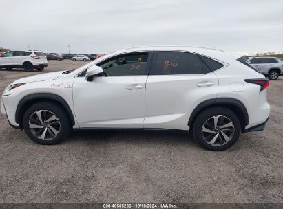 Lot #2992826467 2021 LEXUS NX 300