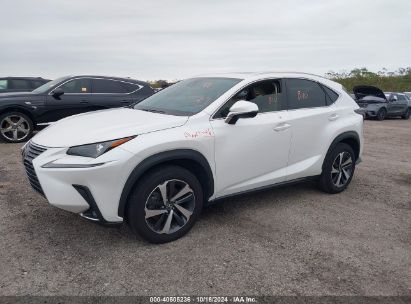 Lot #2992826467 2021 LEXUS NX 300