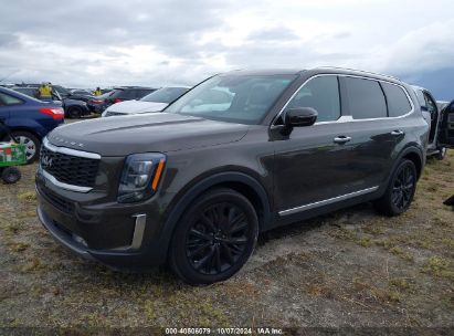 Lot #2992826411 2022 KIA TELLURIDE SX