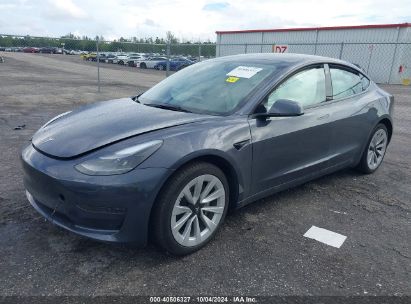 Lot #2995284624 2023 TESLA MODEL 3 REAR-WHEEL DRIVE