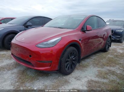 Lot #2992826393 2024 TESLA MODEL Y LONG RANGE DUAL MOTOR ALL-WHEEL DRIVE