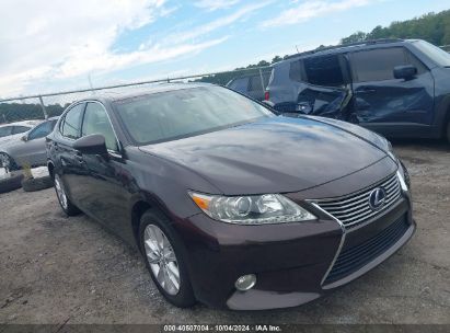 Lot #3005350677 2013 LEXUS ES 300H