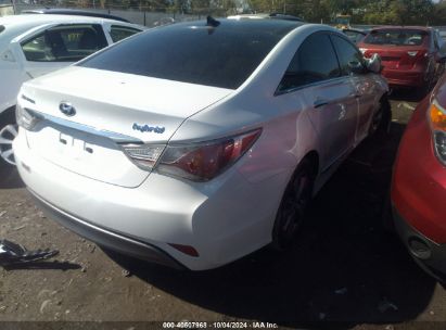 Lot #2996534227 2011 HYUNDAI SONATA HYBRID