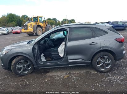 Lot #2990349691 2024 FORD ESCAPE ST-LINE