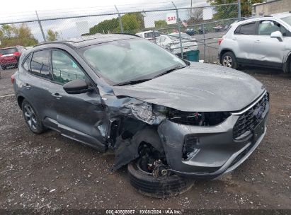 Lot #2990349691 2024 FORD ESCAPE ST-LINE