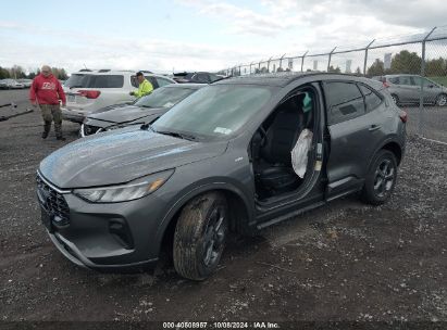 Lot #2990349691 2024 FORD ESCAPE ST-LINE