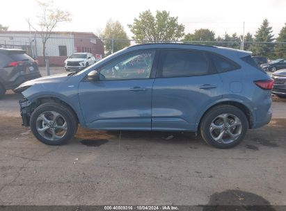 Lot #2990349679 2024 FORD ESCAPE ST-LINE