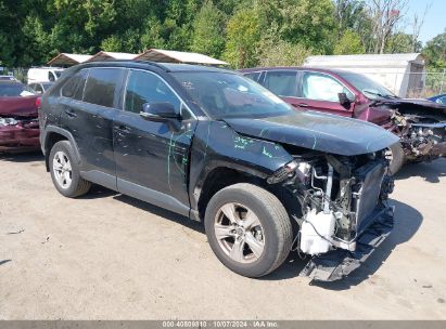 Lot #2995300565 2021 TOYOTA RAV4 XLE