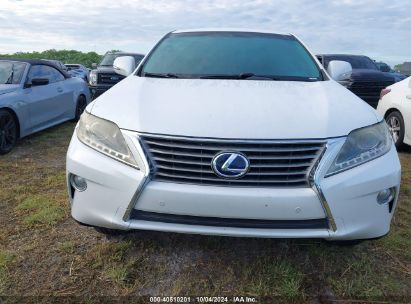 Lot #2996534201 2013 LEXUS RX 450H