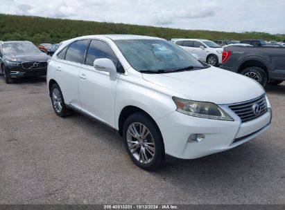 Lot #2996534201 2013 LEXUS RX 450H