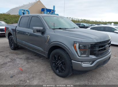 Lot #2992825782 2022 FORD F-150 PLATINUM