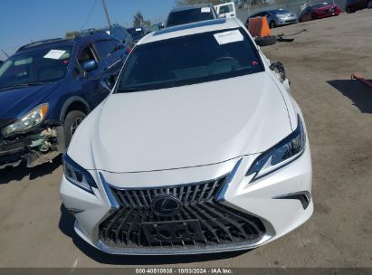 Lot #3005352415 2024 LEXUS ES 300H