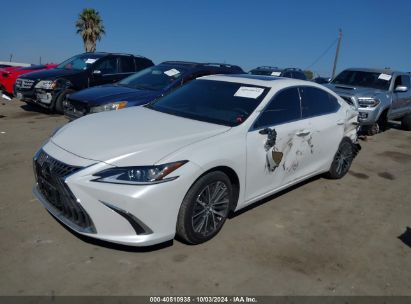 Lot #3005352415 2024 LEXUS ES 300H