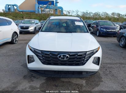 Lot #2992825724 2024 HYUNDAI TUCSON HYBRID BLUE