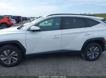 Lot #2992825724 2024 HYUNDAI TUCSON HYBRID BLUE