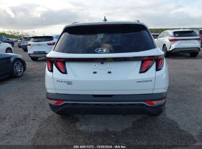 Lot #2992825724 2024 HYUNDAI TUCSON HYBRID BLUE