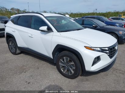 Lot #2992825724 2024 HYUNDAI TUCSON HYBRID BLUE