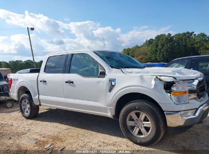 Lot #2992825987 2021 FORD F-150 XLT