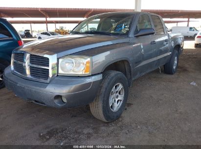 Lot #3053067160 2006 DODGE DAKOTA SLT