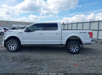 Lot #2985458313 2017 FORD F-150 XLT