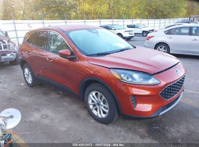 Lot #2992825877 2020 FORD ESCAPE SE