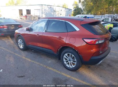 Lot #2992825877 2020 FORD ESCAPE SE