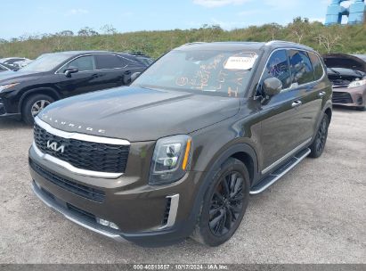 Lot #2992825767 2022 KIA TELLURIDE SX