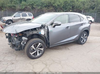 Lot #2990356823 2021 LEXUS NX 300